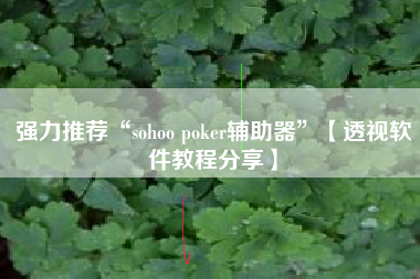 强力推荐“sohoo poker辅助器	”【透视软件教程分享】