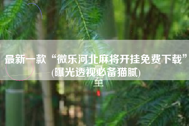 最新一款“微乐河北麻将开挂免费下载”(曝光透视必备猫腻)