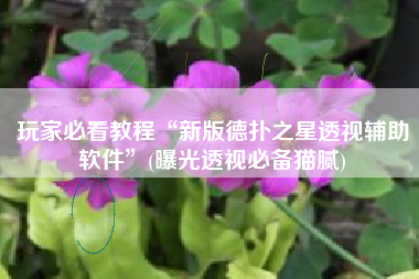 玩家必看教程“新版德扑之星透视辅助软件”(曝光透视必备猫腻)