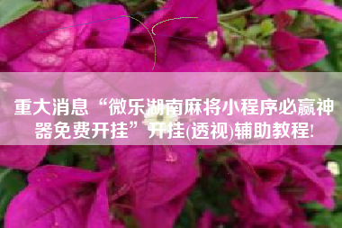 重大消息“微乐湖南麻将小程序必赢神器免费开挂”开挂(透视)辅助教程!