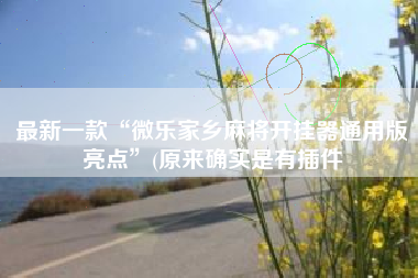 最新一款“微乐家乡麻将开挂器通用版亮点	”(原来确实是有插件