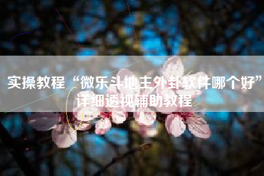 实操教程“微乐斗地主外卦软件哪个好”详细透视辅助教程