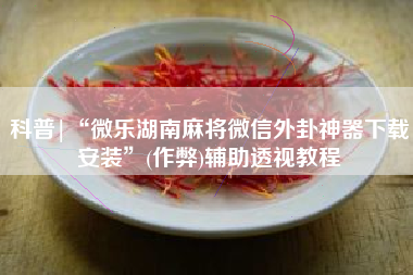 科普|“微乐湖南麻将微信外卦神器下载安装”(作弊)辅助透视教程