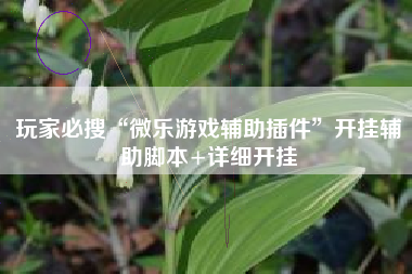 玩家必搜“微乐游戏辅助插件	”开挂辅助脚本+详细开挂
