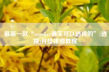 最新一款“wepoker确实可以透视的	”(透视)开挂详细教程