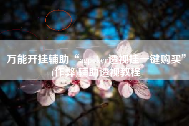 万能开挂辅助“agpoker透视挂一键购买”(作弊)辅助透视教程