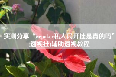 实测分享“wepoker私人局开挂是真的吗”(透视挂)辅助透视教程