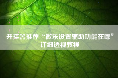 开挂器推荐“微乐设置辅助功能在哪”详细透视教程
