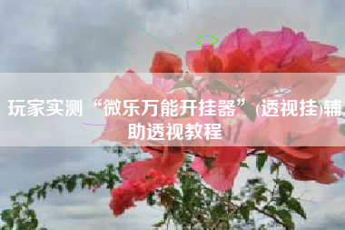 玩家实测“微乐万能开挂器”(透视挂)辅助透视教程