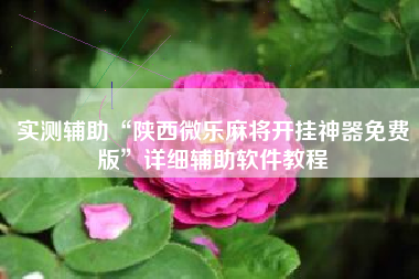 实测辅助“陕西微乐麻将开挂神器免费版”详细辅助软件教程