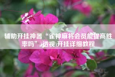 辅助开挂神器“雀神麻将会员能提高胜率吗”(透视)开挂详细教程