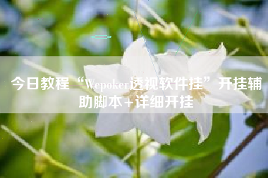 今日教程“Wepoker透视软件挂”开挂辅助脚本+详细开挂