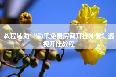 教程辅助!“微乐免费房间开挂神器”透视开挂教程