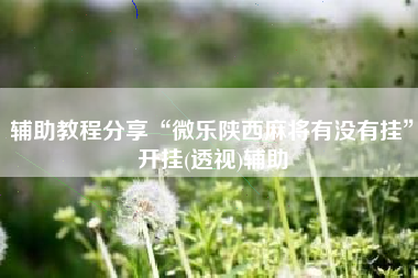 辅助教程分享“微乐陕西麻将有没有挂	”开挂(透视)辅助