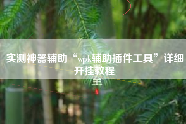 实测神器辅助“wpk辅助插件工具”详细开挂教程
