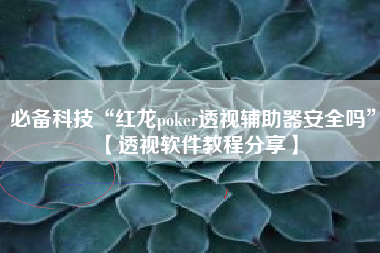 必备科技“红龙poker透视辅助器安全吗”【透视软件教程分享】