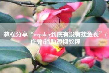 教程分享“wepoker到底有没有挂透视	”(作弊)辅助透视教程