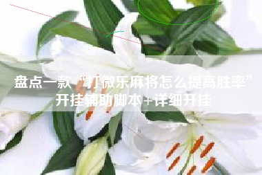 盘点一款“打微乐麻将怎么提高胜率”开挂辅助脚本+详细开挂
