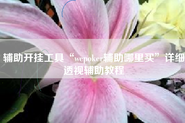辅助开挂工具“wepoker辅助哪里买	”详细透视辅助教程