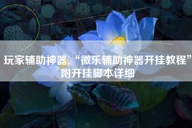 玩家辅助神器:“微乐辅助神器开挂教程”附开挂脚本详细