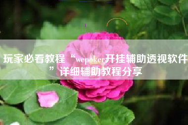 玩家必看教程“wepoker开挂辅助透视软件”详细辅助教程分享