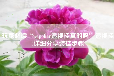 玩家必读“wepoker透视挂真的吗”透视挂!详细分享装挂步骤