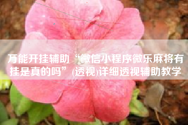 万能开挂辅助“微信小程序微乐麻将有挂是真的吗”(透视)详细透视辅助教学