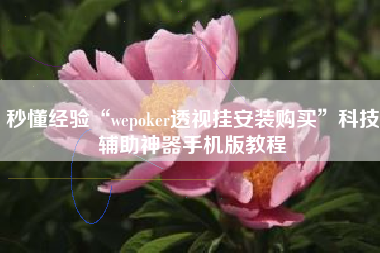 秒懂经验“wepoker透视挂安装购买”科技辅助神器手机版教程