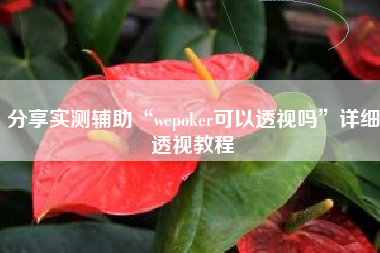 分享实测辅助“wepoker可以透视吗	”详细透视教程