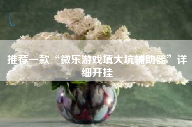 推荐一款“微乐游戏填大坑辅助器	”详细开挂