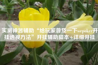 实测神器辅助“给玩家普及一下wepoker开挂透视方法	”开挂辅助脚本+详细开挂
