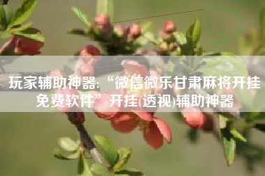 玩家辅助神器:“微信微乐甘肃麻将开挂免费软件”开挂(透视)辅助神器