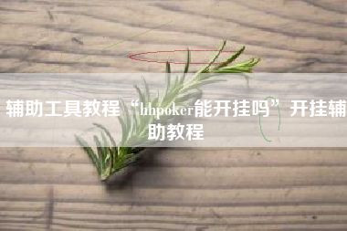 辅助工具教程“hhpoker能开挂吗”开挂辅助教程