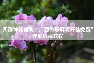 实测神器辅助“广西微乐麻将开挂免费	”详细透视教程