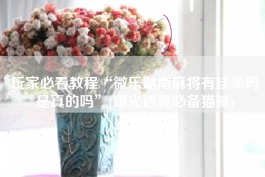 玩家必看教程“微乐湖南麻将有挂卖吗是真的吗	”(曝光透视必备猫腻)