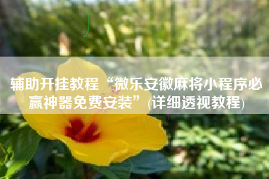 辅助开挂教程“微乐安徽麻将小程序必赢神器免费安装”(详细透视教程)