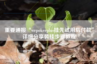 重要通报“wepokerplus挂先试用后付款”详细分享装挂步骤教程
