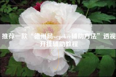 推荐一款“德州局wepoker辅助方法	”透视开挂辅助教程