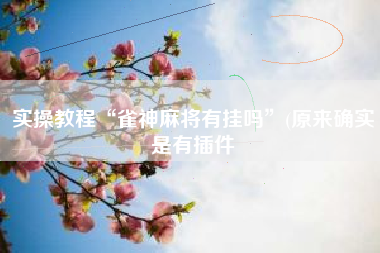 实操教程“雀神麻将有挂吗	”(原来确实是有插件