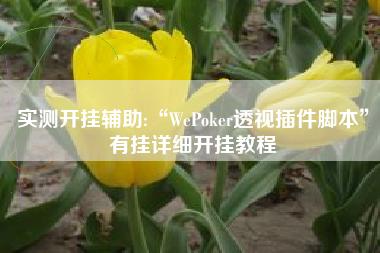 实测开挂辅助:“WePoker透视插件脚本”有挂详细开挂教程