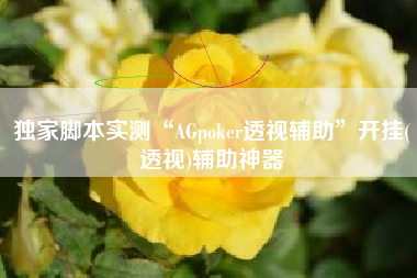 独家脚本实测“AGpoker透视辅助”开挂(透视)辅助神器