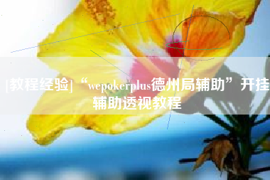 [教程经验]“wepokerplus德州局辅助	”开挂辅助透视教程