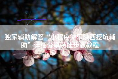 独家辅助解答“小程序微乐陕西挖坑辅助”详细分享装挂步骤教程