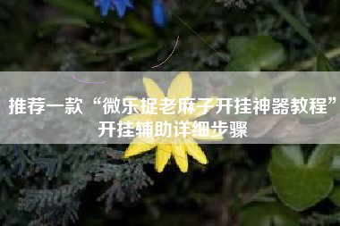 推荐一款“微乐捉老麻子开挂神器教程”开挂辅助详细步骤