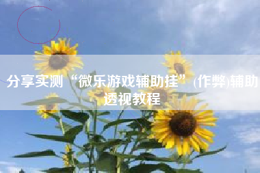分享实测“微乐游戏辅助挂	”(作弊)辅助透视教程