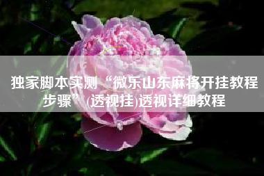 独家脚本实测“微乐山东麻将开挂教程步骤”(透视挂)透视详细教程