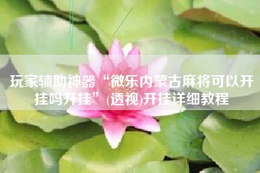 玩家辅助神器“微乐内蒙古麻将可以开挂吗开挂”(透视)开挂详细教程