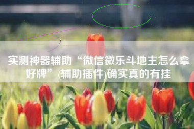 实测神器辅助“微信微乐斗地主怎么拿好牌	”(辅助插件)确实真的有挂