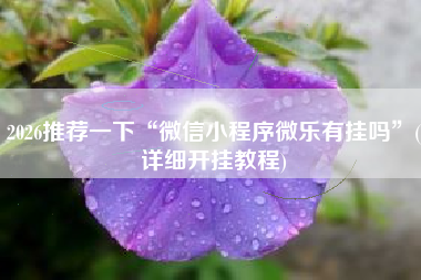 2026推荐一下“微信小程序微乐有挂吗”(详细开挂教程)