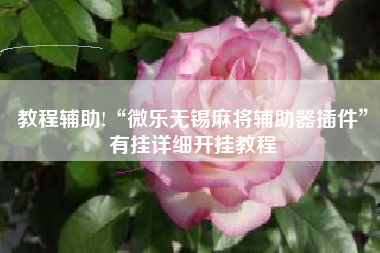 教程辅助!“微乐无锡麻将辅助器插件”有挂详细开挂教程